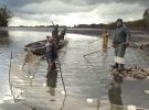 Stawy rybackie w Siemieniu